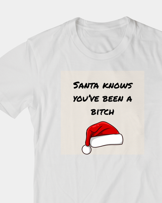 Santa Knows You’ve Been Naughty T-Shirt | Funny Christmas Tee | Sassy Holiday Graphic Shirt